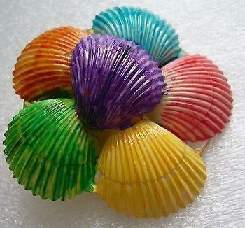Vintage 1940 hand painted celluloid shells pin / brooch